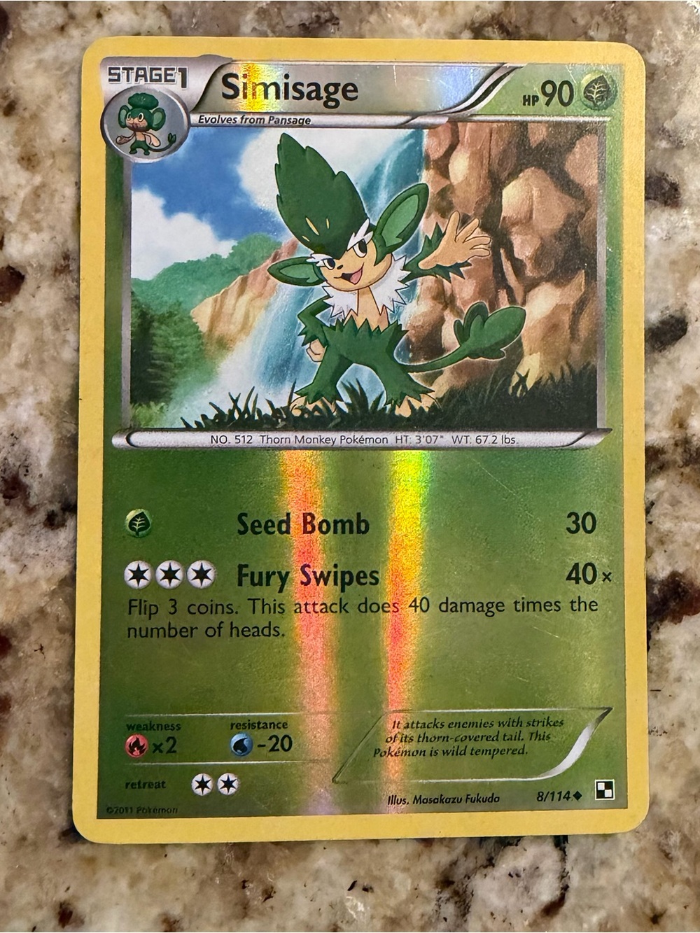 Pokémon Card